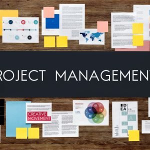 Dizipal 683: Technological Innovation in Project Management