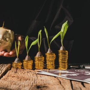 Best Small Cap Mutual Funds