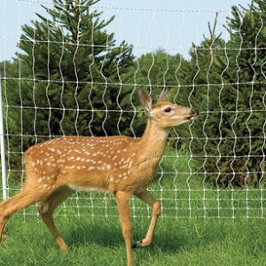 Deer Fence