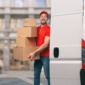 Princess Royal Parcel Hub: A Comprehensive Overview of the Logistics Powerhouse