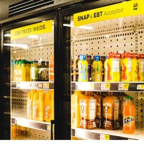 Pharmacy Refrigerators: Common Mistakes and How to Avoid Them